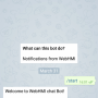 telegram_screenshot.png